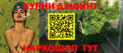 Альфа ПВП Кандалакша